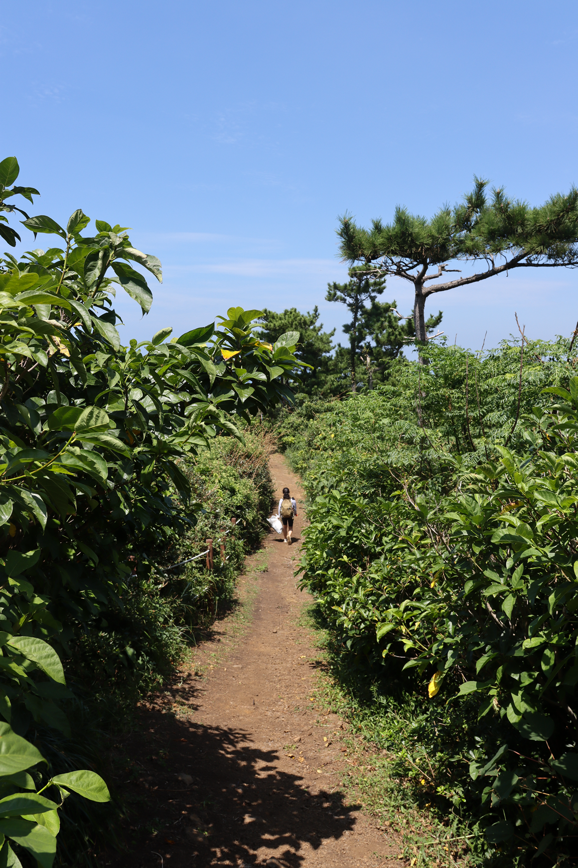 가을따라 <클린올레>