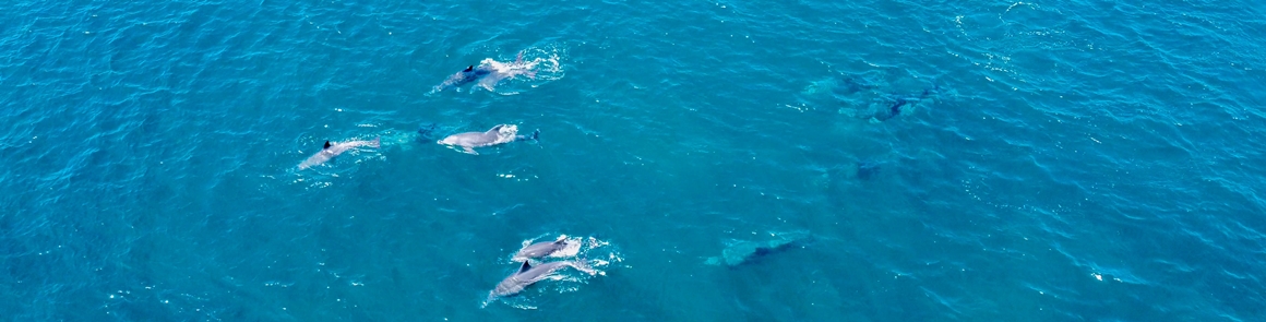 가을따라 <클린올레>