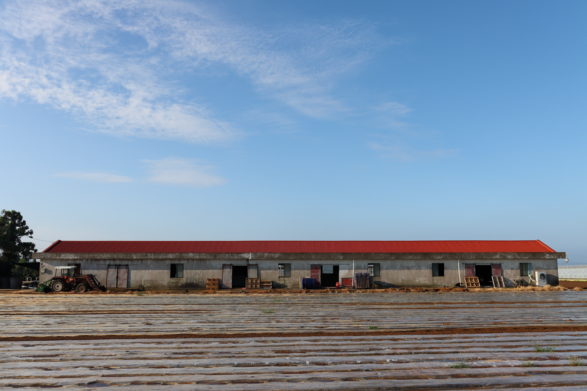 가을따라 <클린올레>