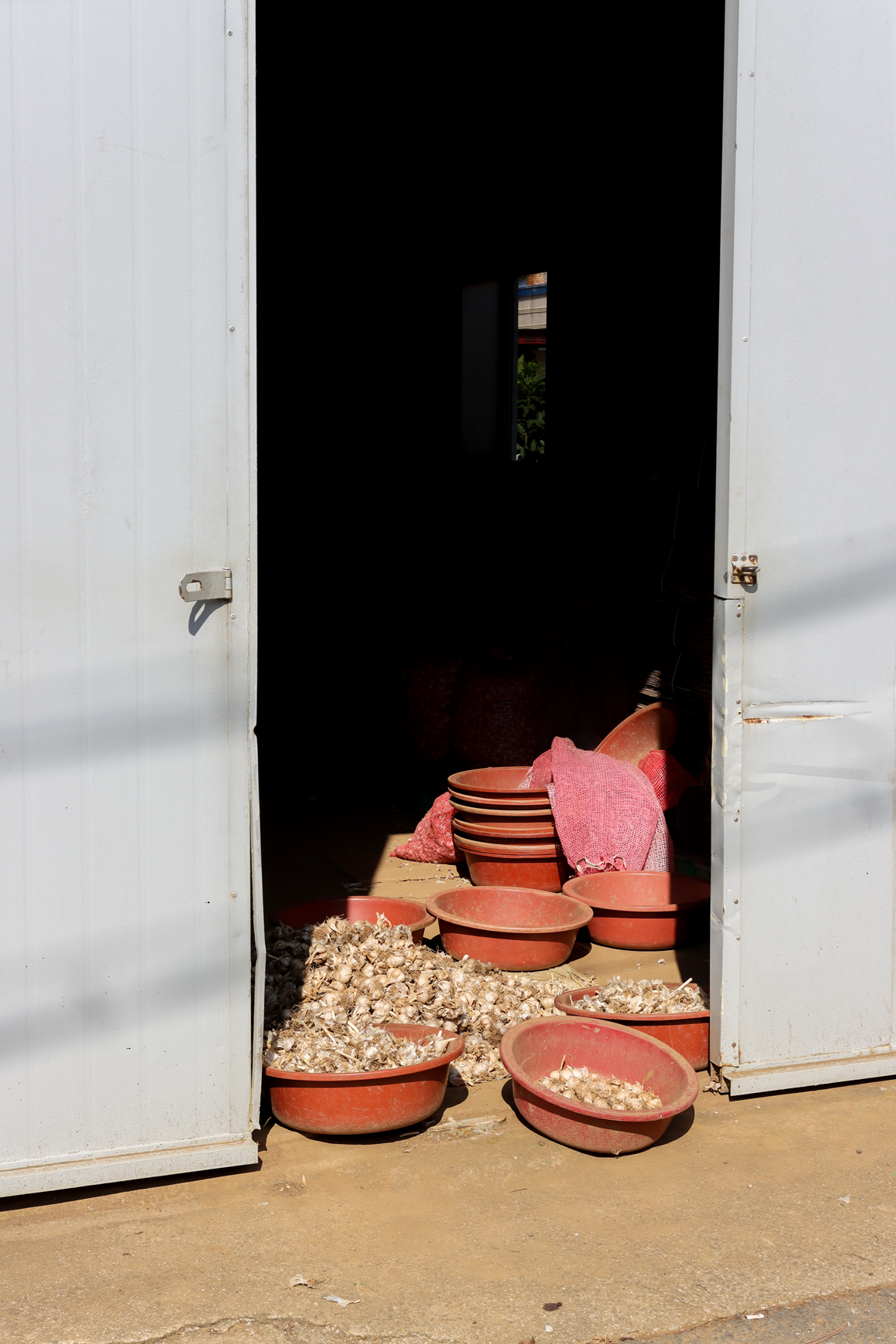 가을따라 <클린올레>