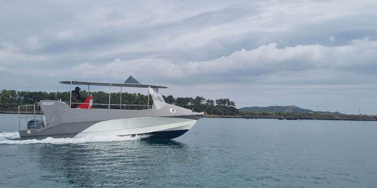 Hamo Dolphin Tour