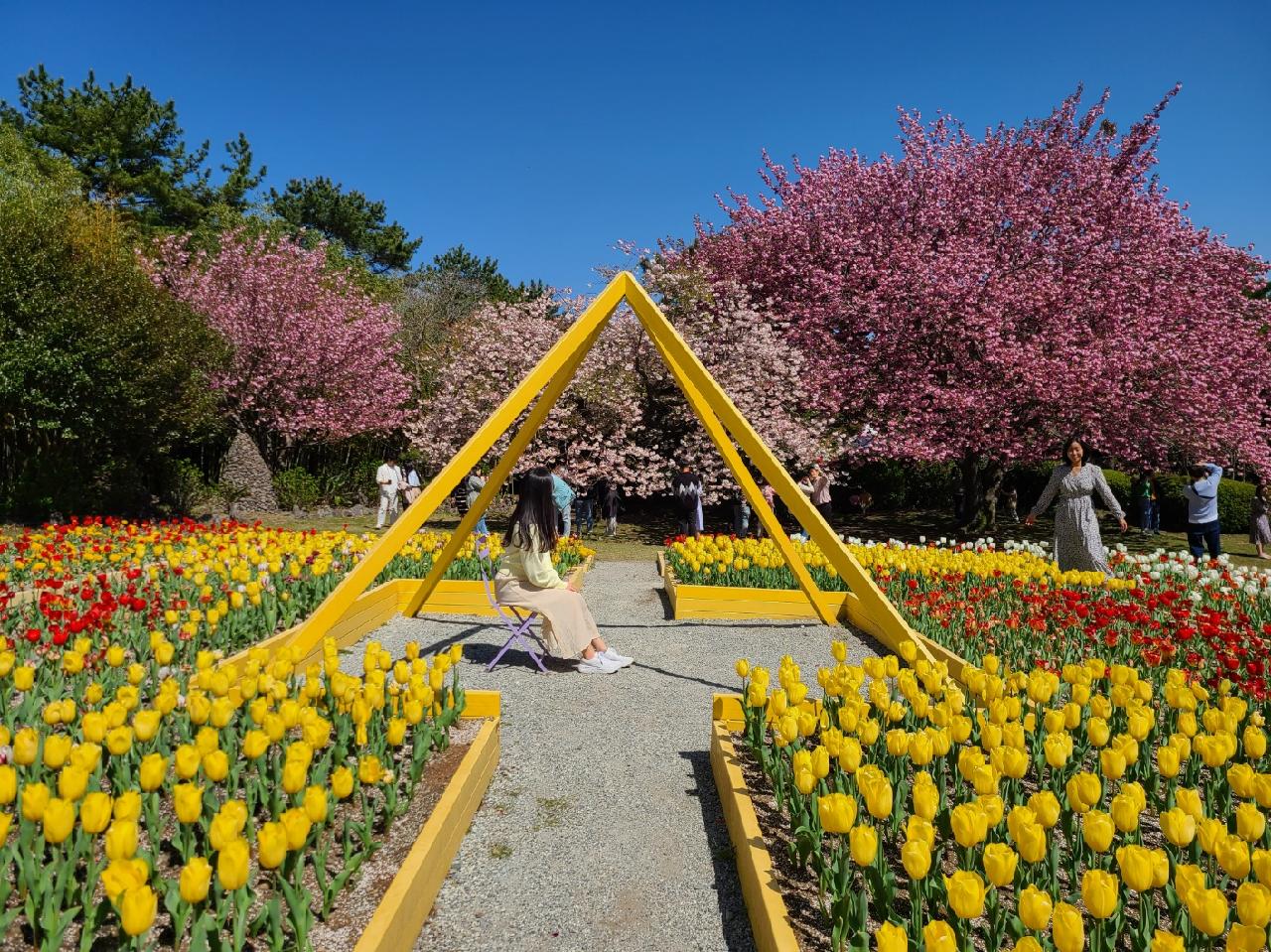상효원수목원 봄꽃축제