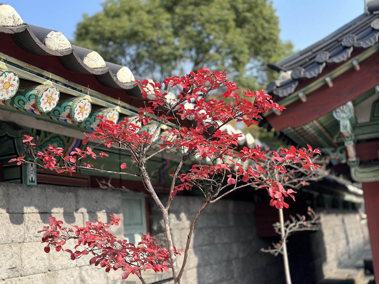 제주목관아
