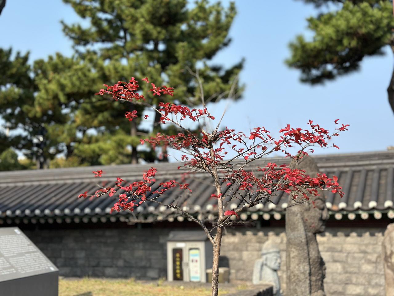 제주목관아