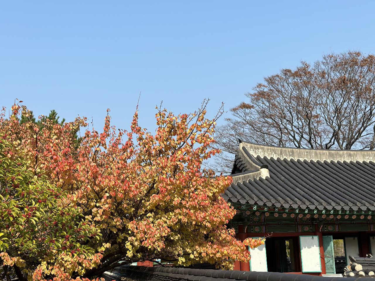 제주목관아