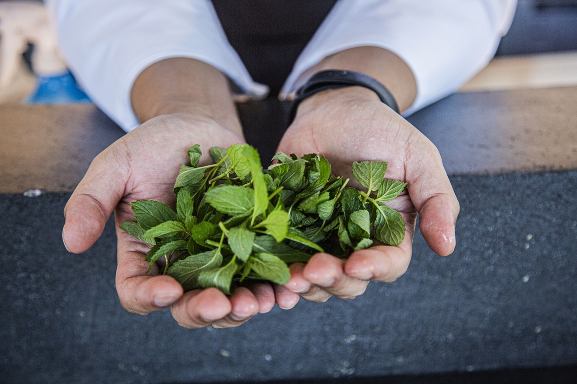 정말 괜찮은 식사 <파인다이닝, 미식의 세계로!>