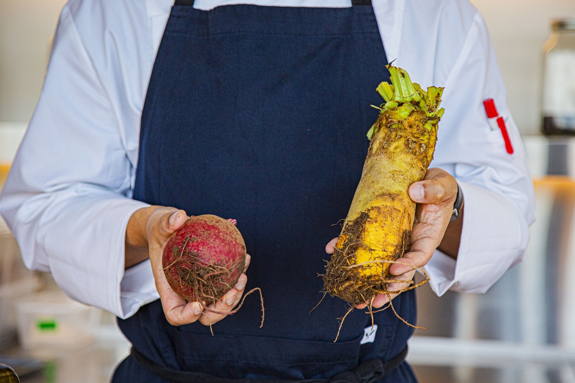정말 괜찮은 식사 <파인다이닝, 미식의 세계로!>