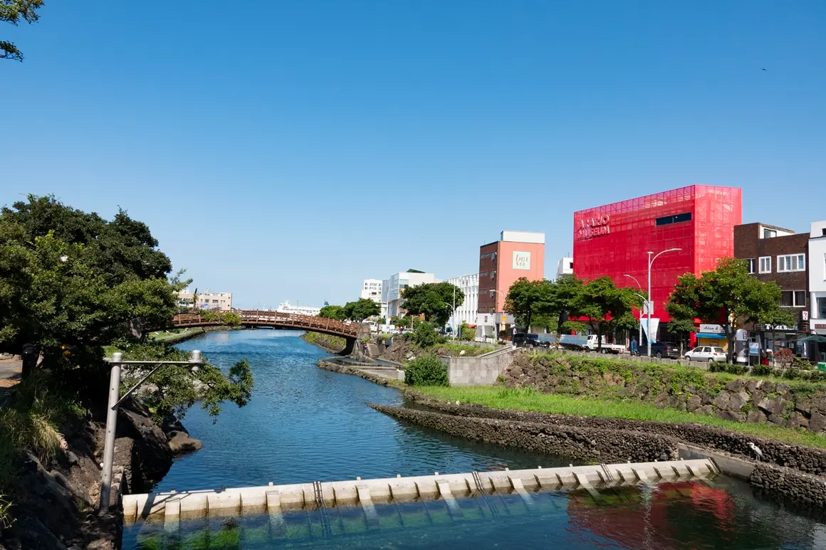 쉬고 싶은 지구를 위한 저탄소 여행 대작전 (Feat. 제주시 원도심)