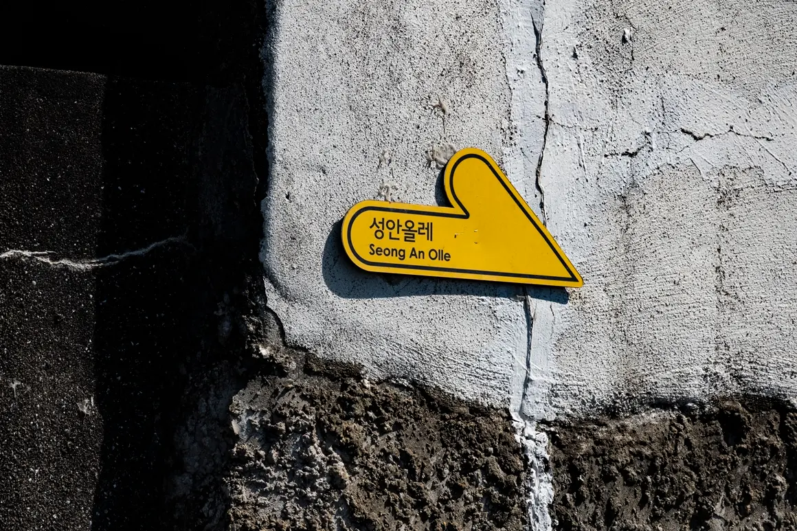 쉬고 싶은 지구를 위한 저탄소 여행 대작전 (Feat. 제주시 원도심)