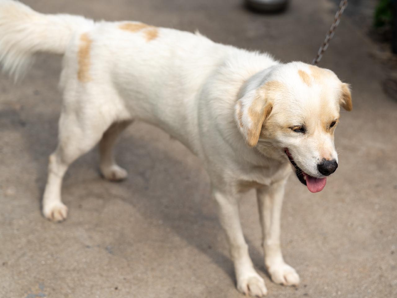 조용한 게스트하우스 산방산점