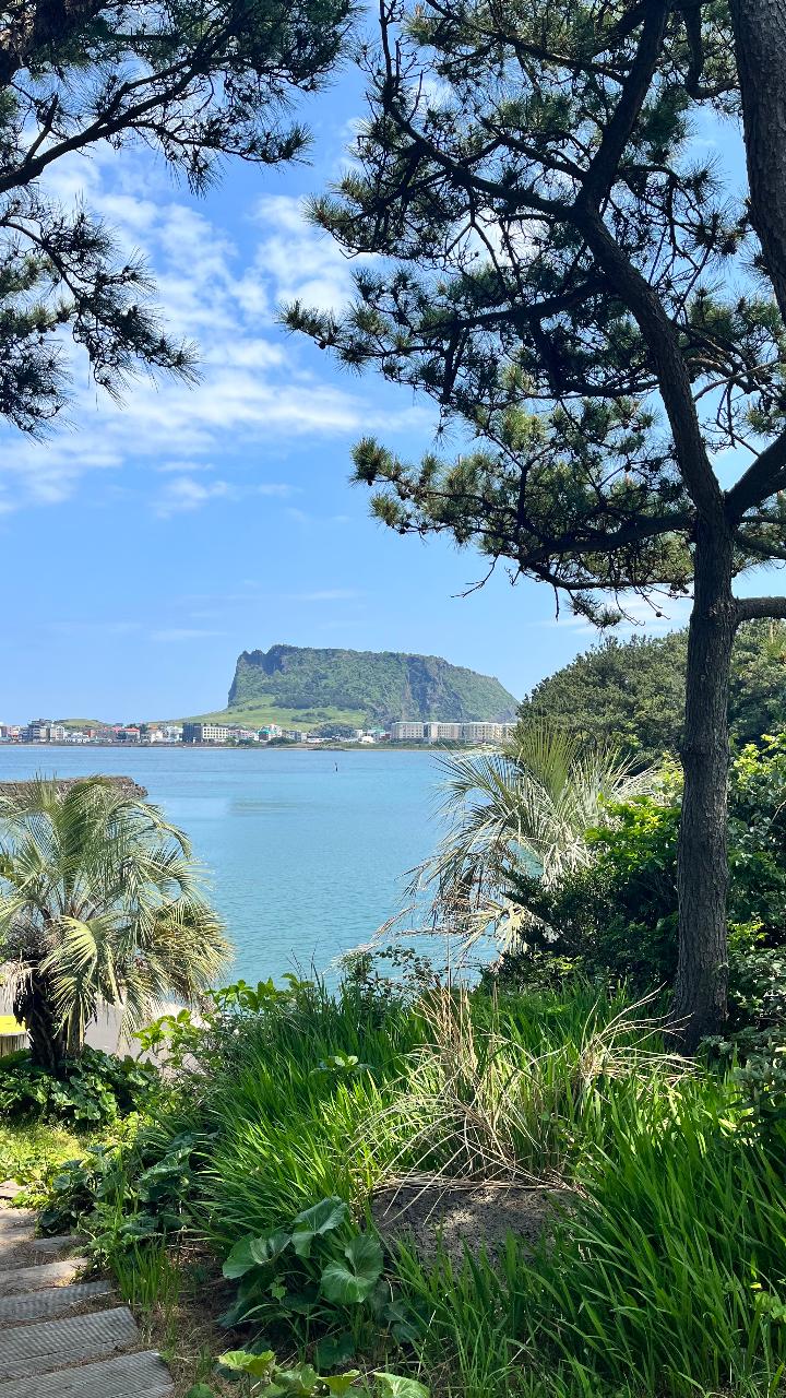 오조포구