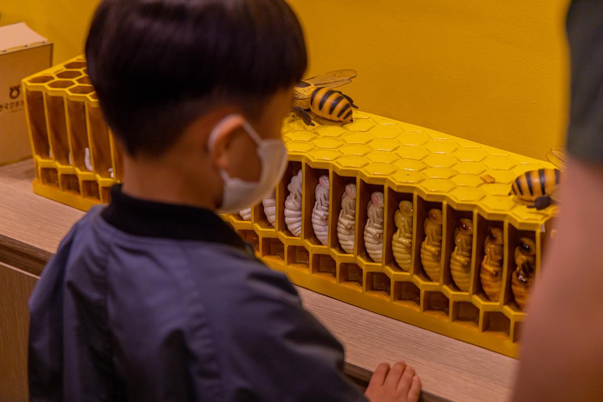 친환경 라이프 스타일 여행