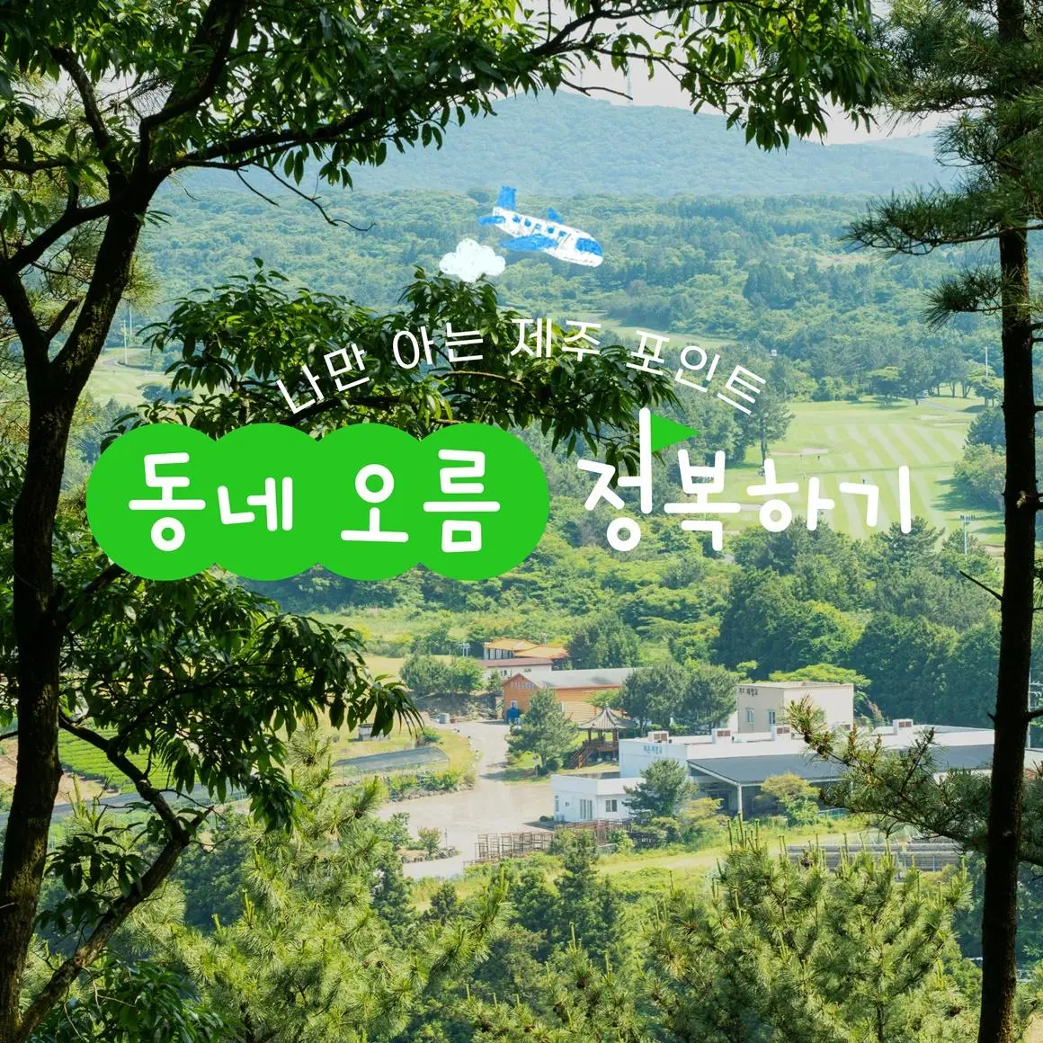 都心の中に隠されているチェジュの自然に出会う <町中のオル厶を巡る>