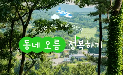 都心の中に隠されているチェジュの自然に出会う <町中のオル厶を巡る>