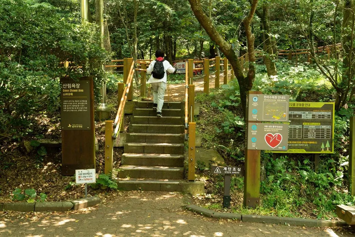 都心の中に隠されているチェジュの自然に出会う <町中のオル厶を巡る>