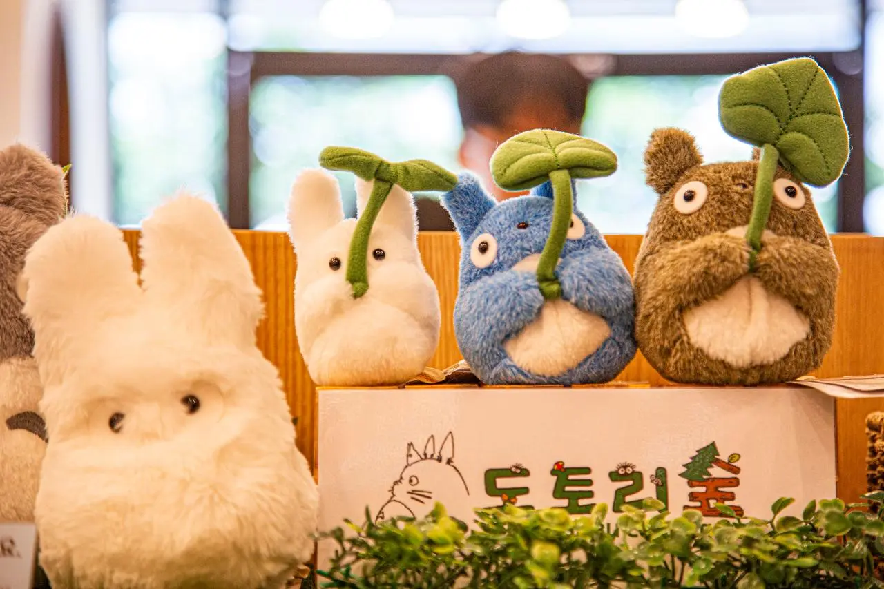 Visit Jeju : どんぐりの森済州店