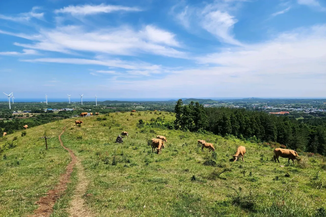 Yeongjusan Mountain 대표이미지