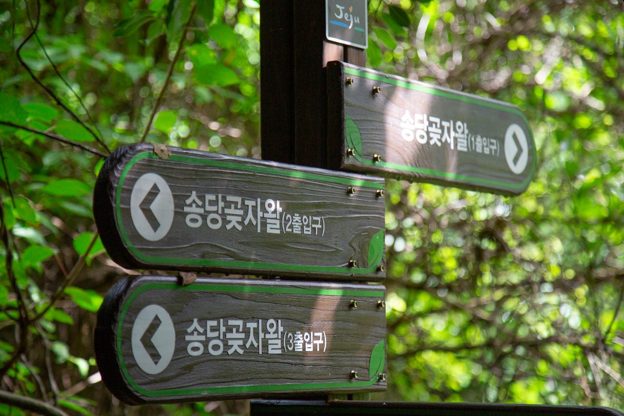 24년 사진