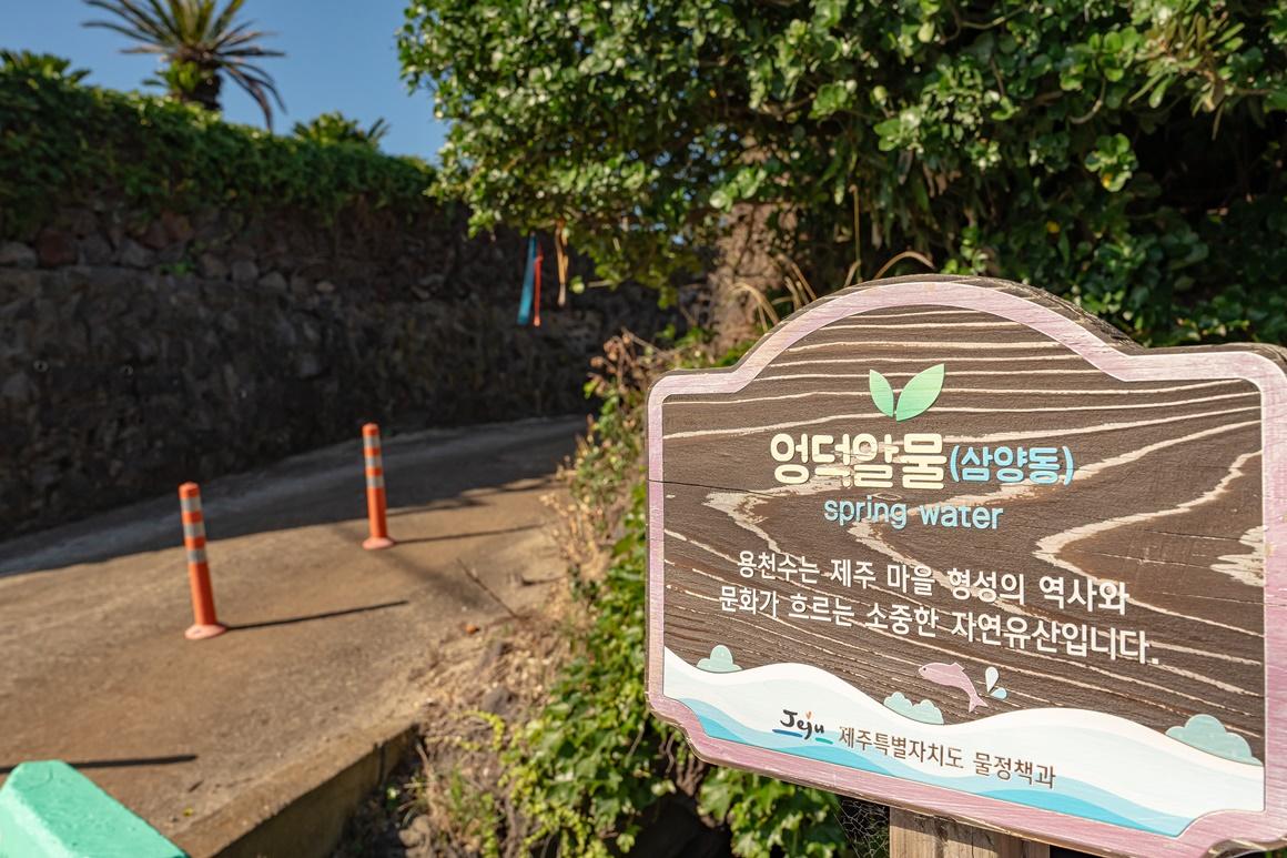여름 여행지