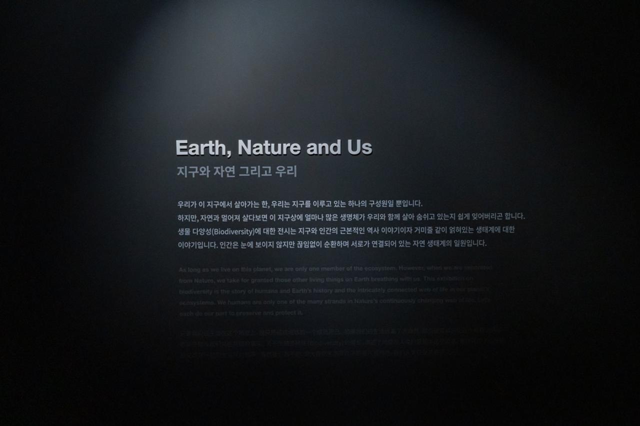 아이와