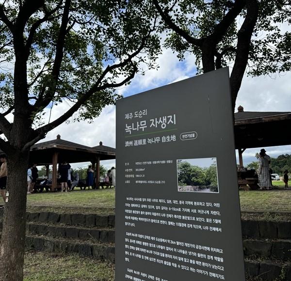 [서귀포 물놀이 하기 좋은 곳] Best 3! 아이와 함께, 연인과 함께 , 친구들과 함께