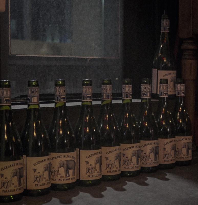 <이벤트를 통해 동쪽 제주를 즐겨라>