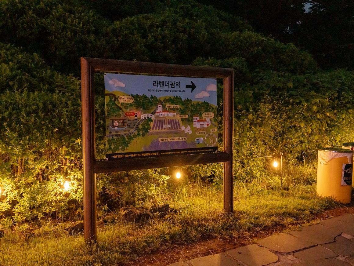 야간명소