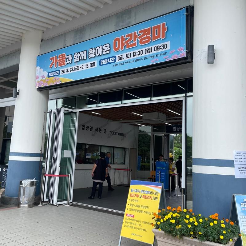 [제주 가볼만한곳] 제주에서만 할 수 있는 찐 제주찾기!!! 제주를 바로 알고 즐기다!