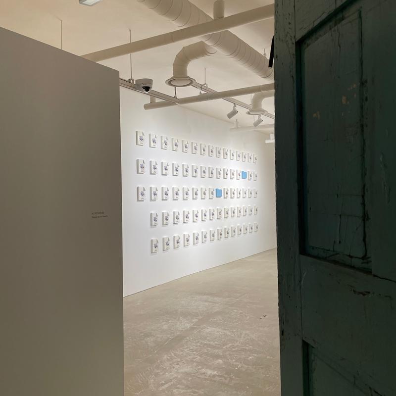 [제주 가볼만한곳] 제주에서만 할 수 있는 찐 제주찾기!!! 제주를 바로 알고 즐기다!