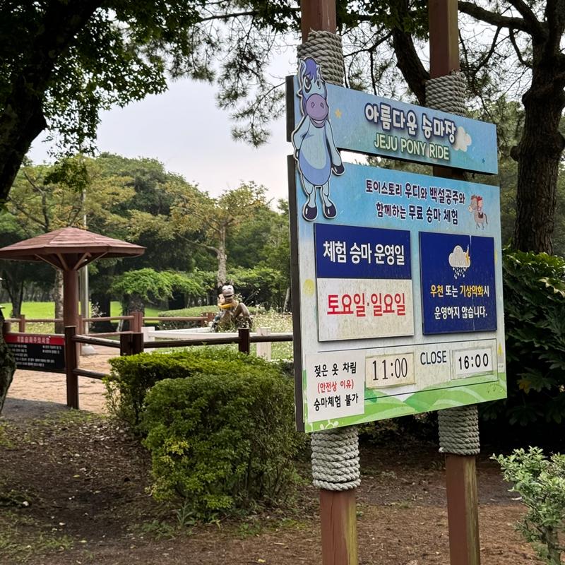 [제주 가볼만한곳] 제주에서만 할 수 있는 찐 제주찾기!!! 제주를 바로 알고 즐기다!