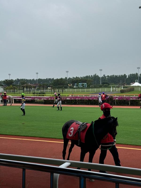 [제주 가볼만한곳] 제주에서만 할 수 있는 찐 제주찾기!!! 제주를 바로 알고 즐기다!