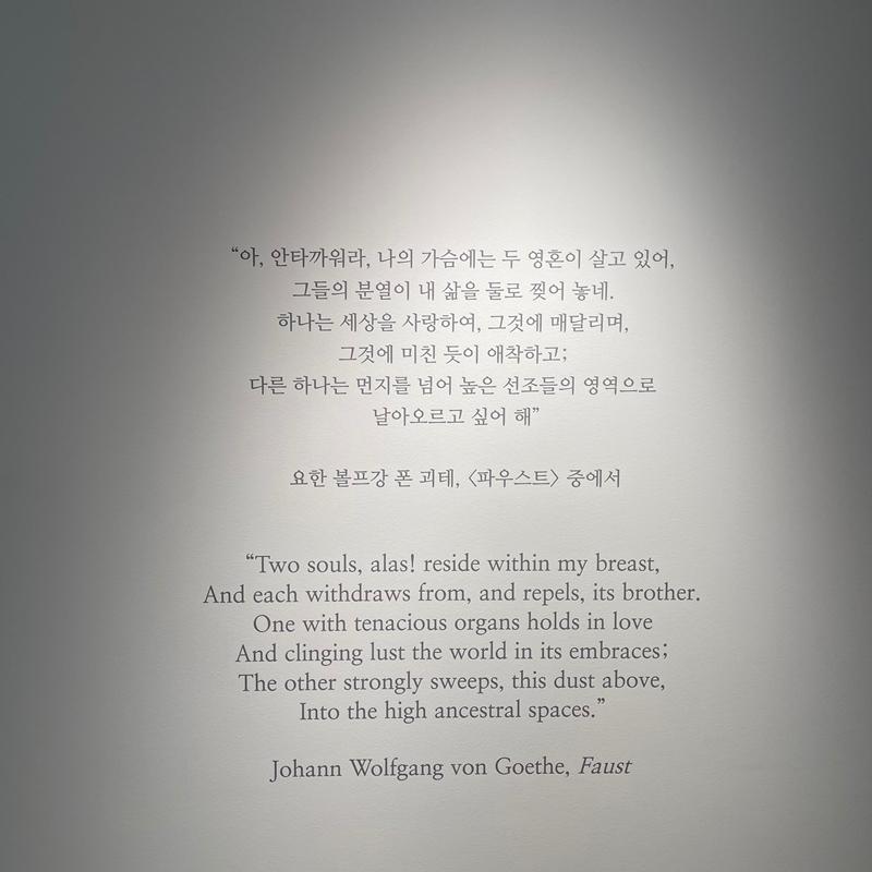 [제주 가볼만한곳] 제주에서만 할 수 있는 찐 제주찾기!!! 제주를 바로 알고 즐기다!