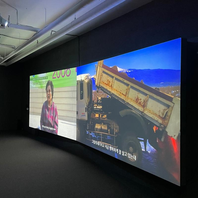 [제주 가볼만한곳] 제주에서만 할 수 있는 찐 제주찾기!!! 제주를 바로 알고 즐기다!