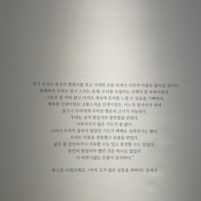 [제주 가볼만한곳] 제주에서만 할 수 있는 찐 제주찾기!!! 제주를 바로 알고 즐기다!