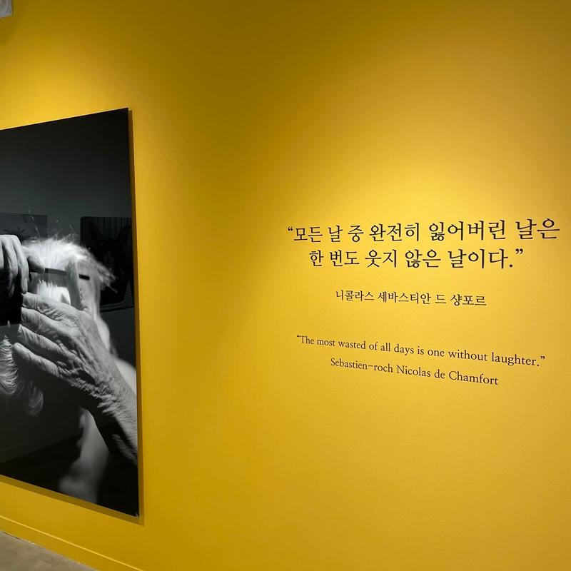 [제주 가볼만한곳] 제주에서만 할 수 있는 찐 제주찾기!!! 제주를 바로 알고 즐기다!