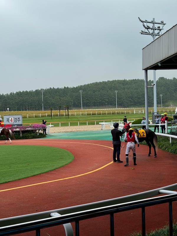 [제주 가볼만한곳] 제주에서만 할 수 있는 찐 제주찾기!!! 제주를 바로 알고 즐기다!