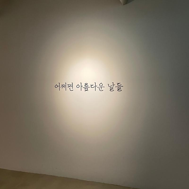 [제주 가볼만한곳] 제주에서만 할 수 있는 찐 제주찾기!!! 제주를 바로 알고 즐기다!