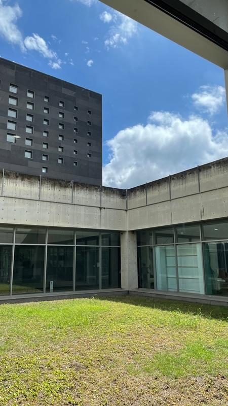 [제주 가볼만한곳] 제주에서만 할 수 있는 찐 제주찾기!!! 제주를 바로 알고 즐기다!