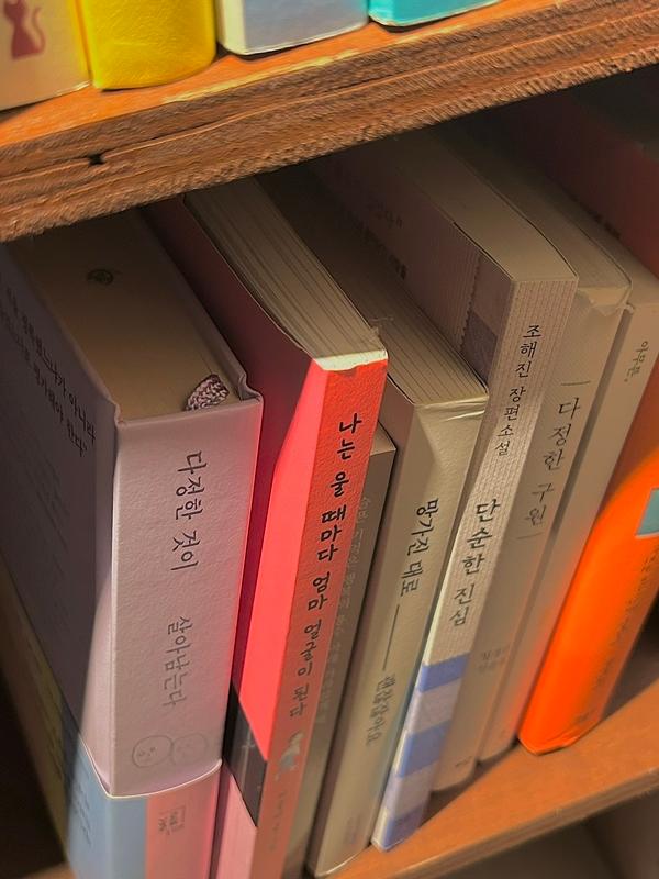 제주에서 도파민 디톡스하기