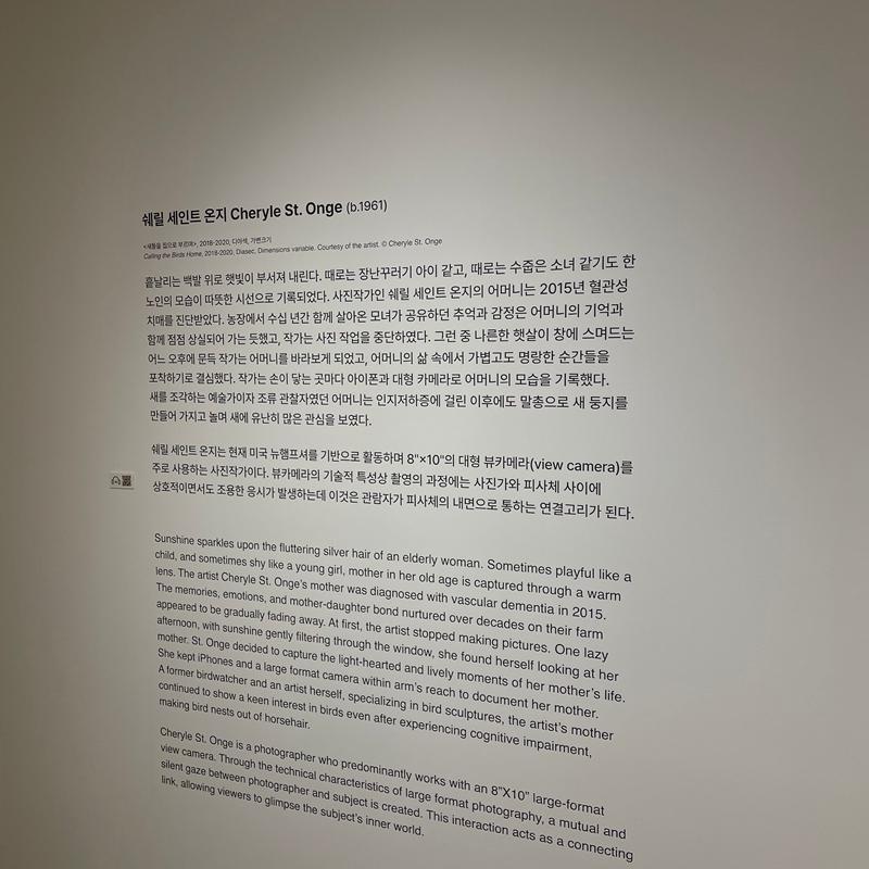 [제주 가볼만한곳] 제주에서만 할 수 있는 찐 제주찾기!!! 제주를 바로 알고 즐기다!