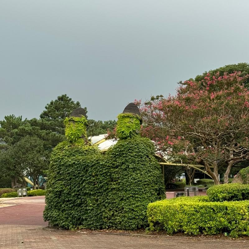 [제주 가볼만한곳] 제주에서만 할 수 있는 찐 제주찾기!!! 제주를 바로 알고 즐기다!