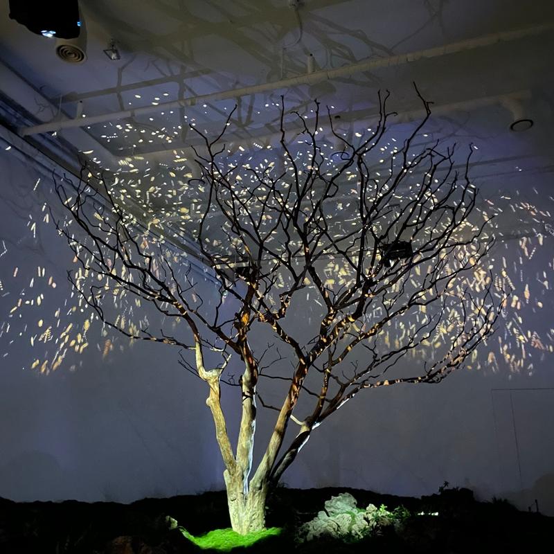 [제주 가볼만한곳] 제주에서만 할 수 있는 찐 제주찾기!!! 제주를 바로 알고 즐기다!