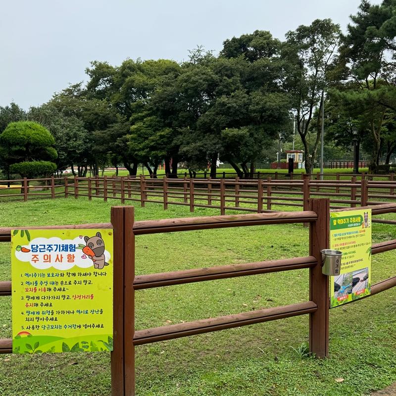 [제주 가볼만한곳] 제주에서만 할 수 있는 찐 제주찾기!!! 제주를 바로 알고 즐기다!