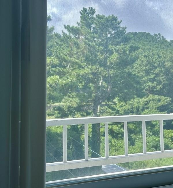 제주에서 도파민 디톡스하기 