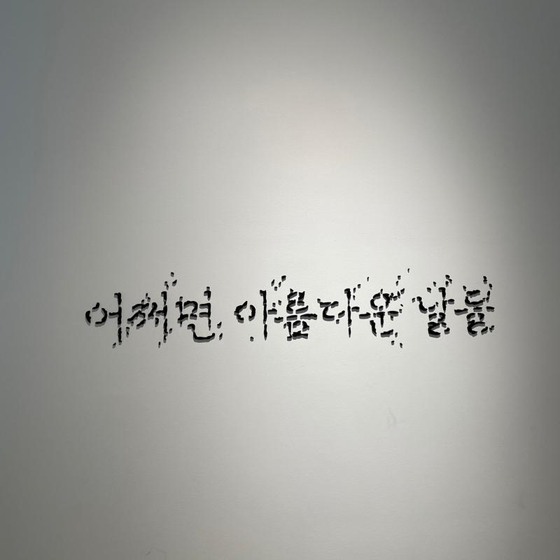 [제주 가볼만한곳] 제주에서만 할 수 있는 찐 제주찾기!!! 제주를 바로 알고 즐기다!