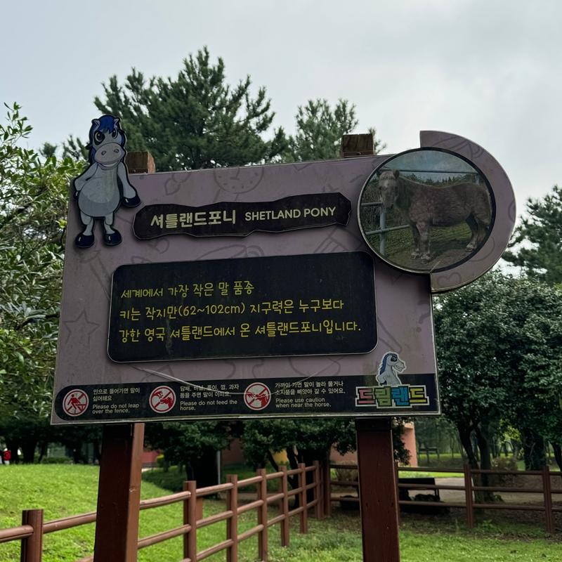 [제주 가볼만한곳] 제주에서만 할 수 있는 찐 제주찾기!!! 제주를 바로 알고 즐기다!