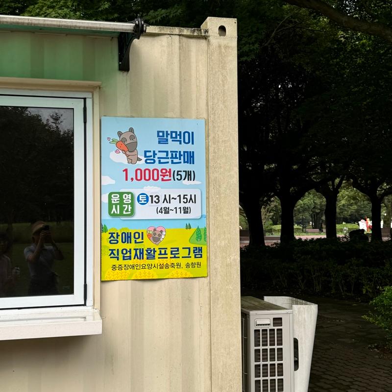 [제주 가볼만한곳] 제주에서만 할 수 있는 찐 제주찾기!!! 제주를 바로 알고 즐기다!
