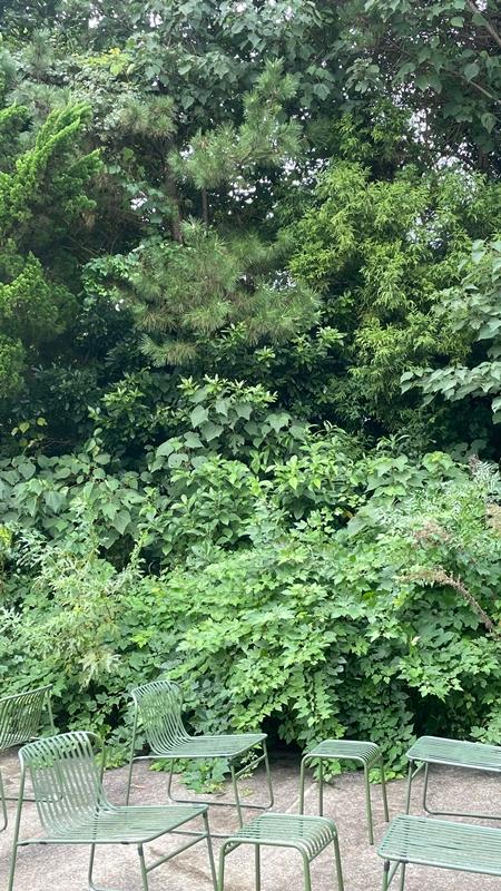 사진 스폿을 가진 카페 Best 3  <사진 스폿을 가진 카페>