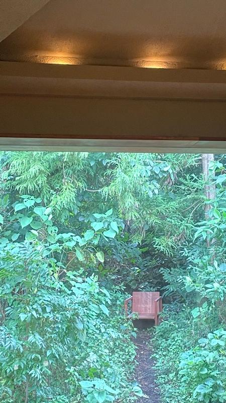 사진 스폿을 가진 카페 Best 3  <사진 스폿을 가진 카페>