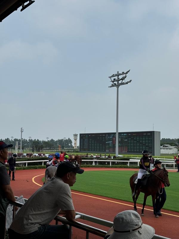 [제주 가볼만한곳] 제주에서만 할 수 있는 찐 제주찾기!!! 제주를 바로 알고 즐기다!